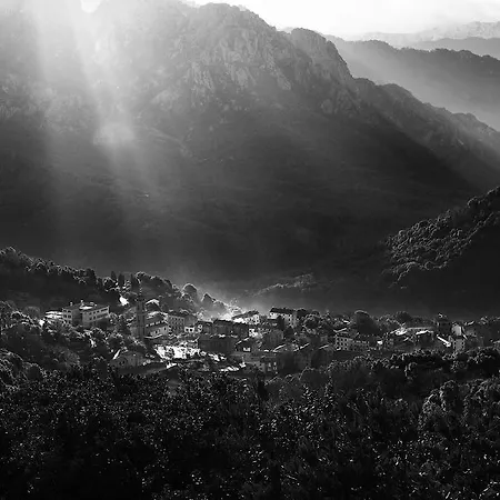 Apartahotel L'alivi Di L'osari