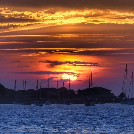 公寓式酒店 奥萨里·阿利维酒店 4*